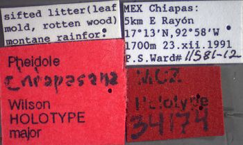 Media type: image;   Entomology 34174 Aspect: labels